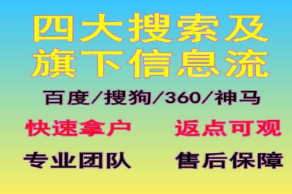 知名SEM运营公司实战案例解析